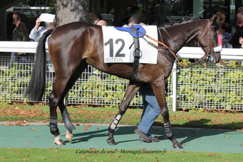 Photos Auteuil 26-09-2015 IMG_4125