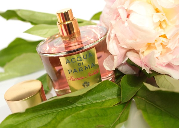 PeoniaNobileAcquaDiParma23