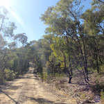 Most of the Western Commission Track has little shade (168359)