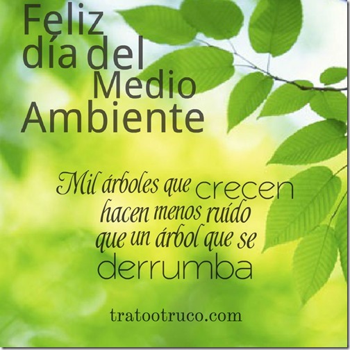 medio ambiente