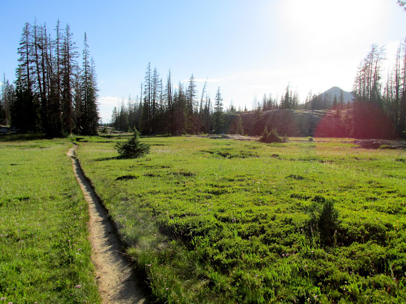 Trail to Weir Lake