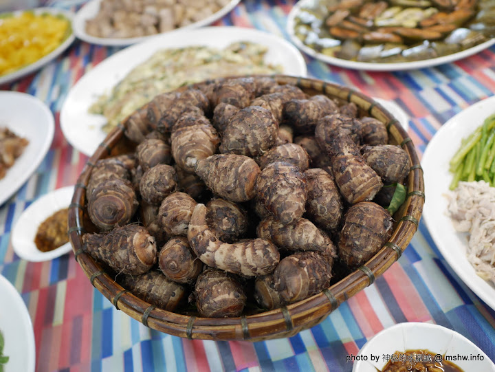 【景點】南臺灣特殊文化景點探訪 : 高雄市茄萣舢筏協會-二仁溪生態環境教室&屏東社頂部落-社頂自然公園-夜間生態遊程&屏東新來義部落產銷中心-來義鄉原住民文物館 來義鄉 區域 博物館 地區導覽指南 夜景 屏東縣 恆春鎮 旅行 景點 茄萣區 遊船 高雄市 