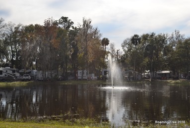 Campers around the pond