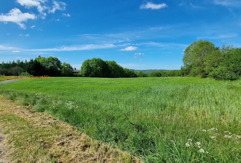  Vente Terrain à bâtir - à Beauregard-de-Terrasson (24120) 