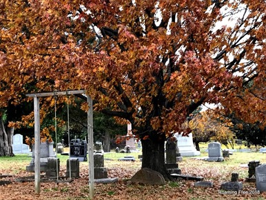 Swingset is an unusual sight