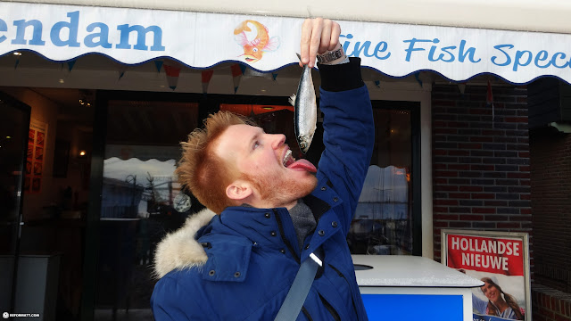 eating RAW herring in Holland in Volendam, Netherlands 