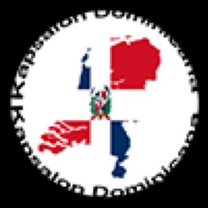 Kapsalon Dominicana - Black Hair kapper logo