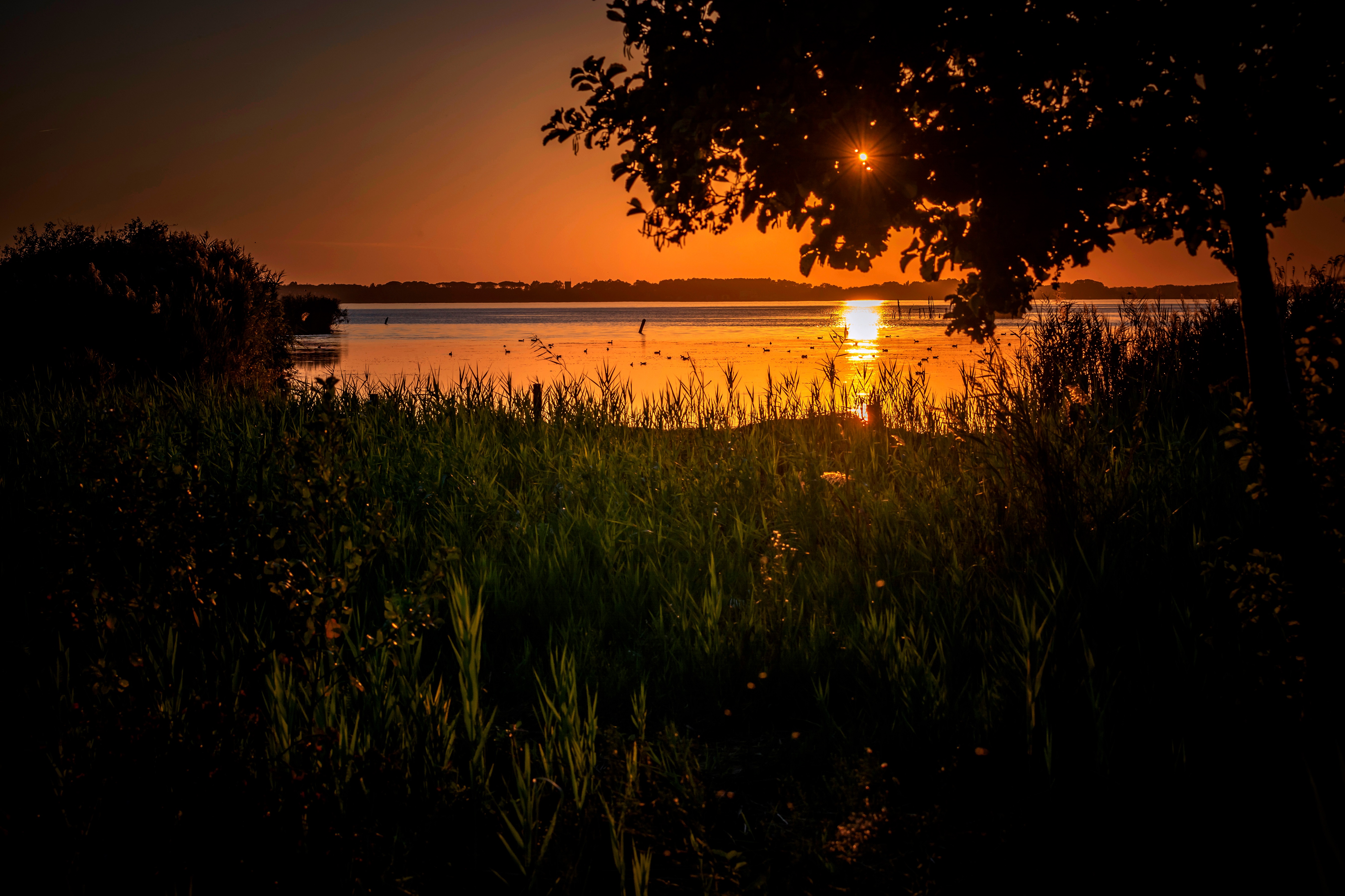 Golden hour di marco_gnech