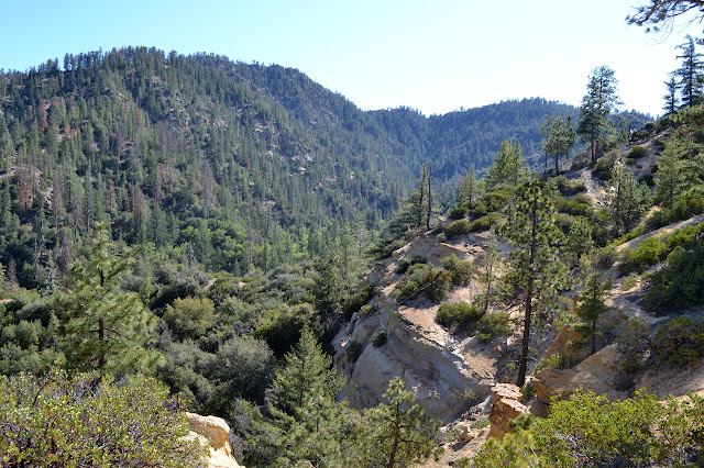 Cedar Creek carving