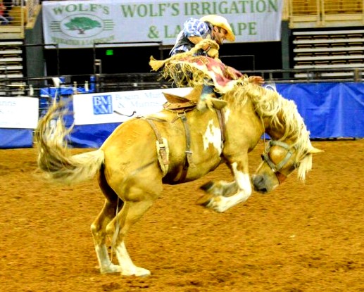  Silver Spurs - A Weekend of Ride ‘em Cowboy Fun