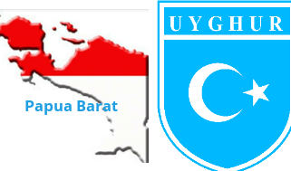 Jauh di Uyghur Cina, Lupa Di Papua