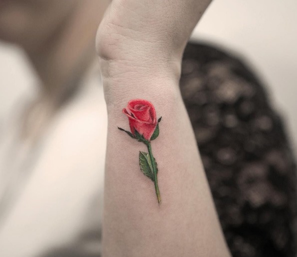 esta_rosa esta_rosa