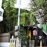 streets of Harajuku in Harajuku, Japan 