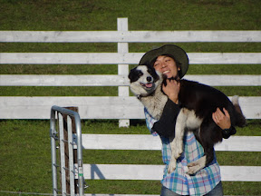 牧羊犬とお兄さん