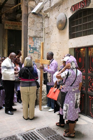 IMG_0230 IMG_0230