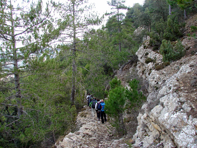 Senderismo - Puntasa - Cascadas - Cuevas y Árboles