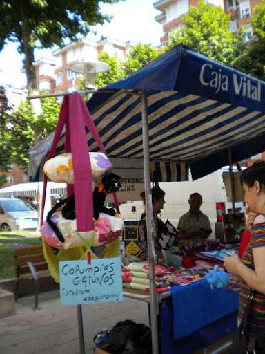 MERCADILLO DE SAN MARTÍN  JUNIO 2011 - Página 3 DSCN5222