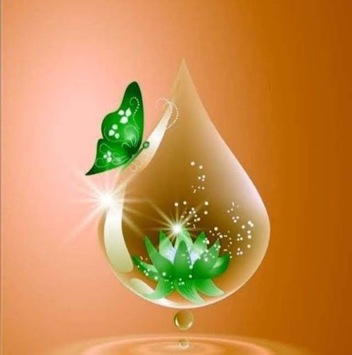 Srikanth 