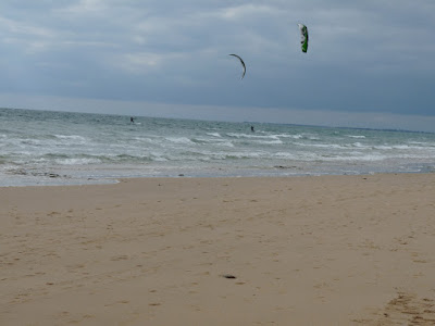 et pendant ce temps en Charente Maritime... - Page 11 P1110307