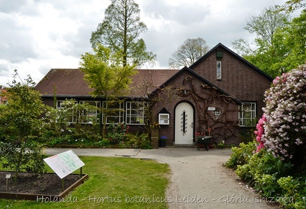 Glória Ishizaka - Hortus Botanicus Leiden - 14