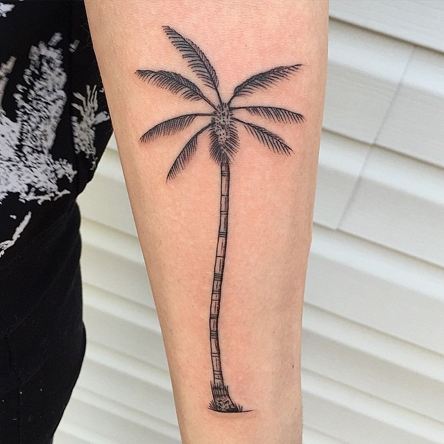 simples_palmeira_antebraço_tatuagem simples_palmeira_antebraço_tatuagem