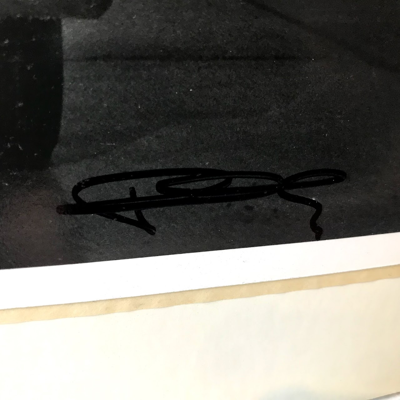 Doug Mesney Signed 'Safety Feature' Photograph