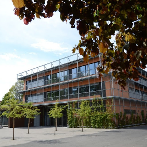 Ziehenschule - Europaschule, MINT-EC-Schule und Gymnasium der Stadt Frankfurt am Main logo