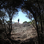 Walker at Kianiny lookout (102322)