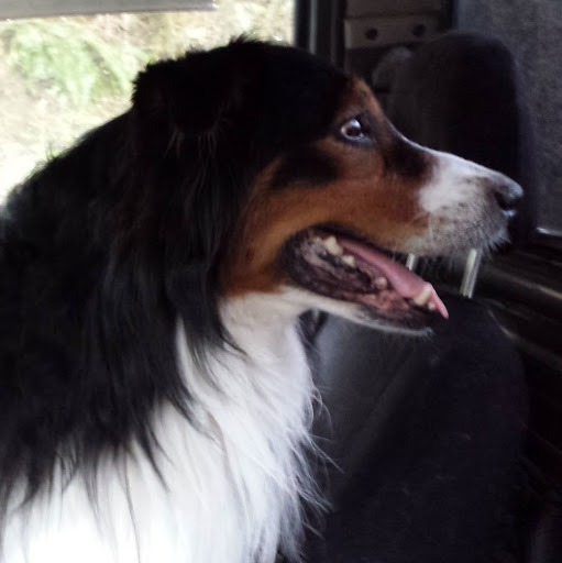 Canadian Tire · 1851 Mamquam Road, Antigonish Mall, Squamish, BC V8B