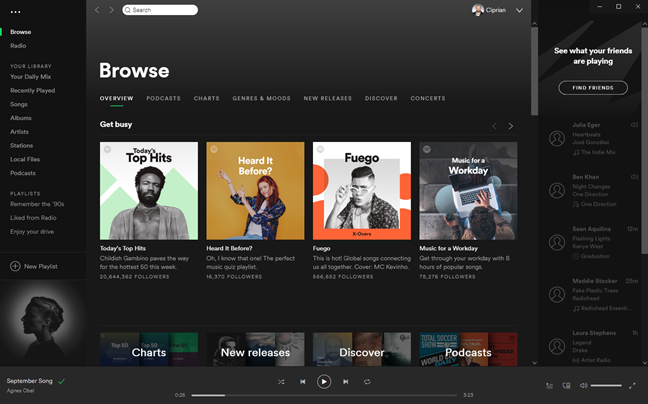 Spotify, Windows