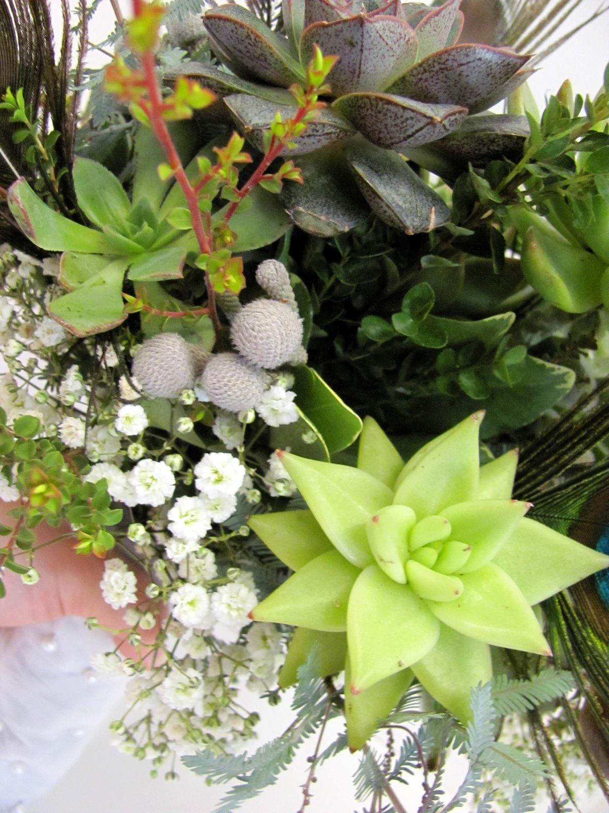 Succulent & Peacock Wedding