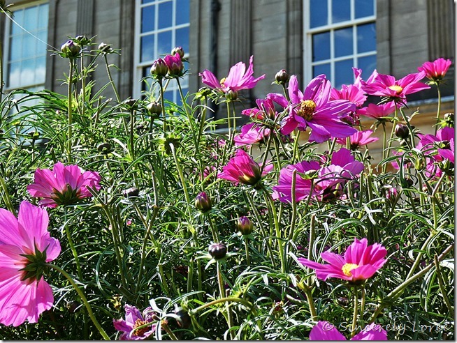 Holyrood Palace Gardens 10