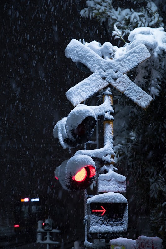 雪の夜 ピンチ商会はてな本店