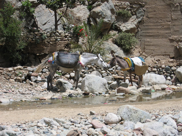 Blog de voyage-en-famille : Voyages en famille, La vallée de l'Ourika