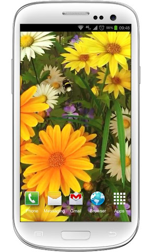 Wildflowers Live Wallpaper