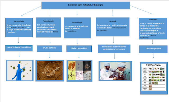 Tareas De Biología Mapa Mental 1 Campo De Estudio De La Biología