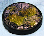 20110827_63.JPG