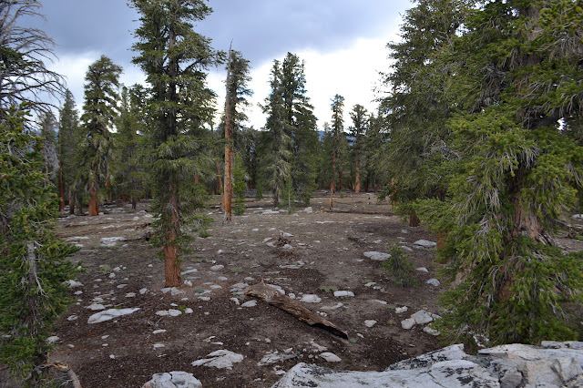 top of the dirt peak