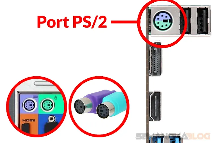 port ps2