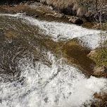 Forks of the Credit River in Caledon in Caledon, Canada 