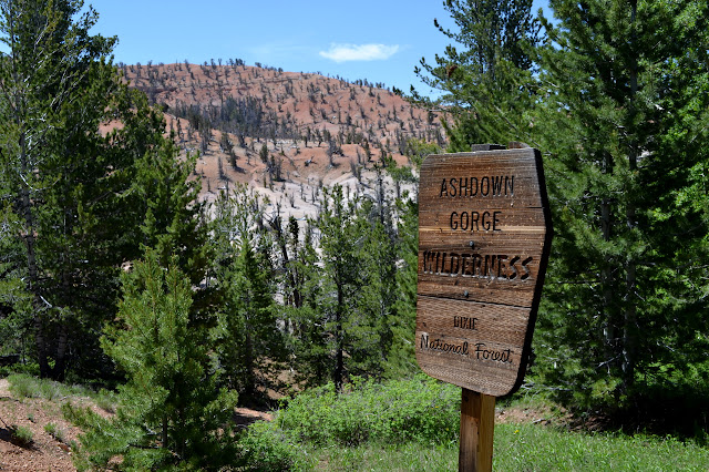 Ashdown Gorge Wilderness sign