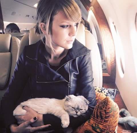 Taylor Swift Dp Profile Pics Whatsapp