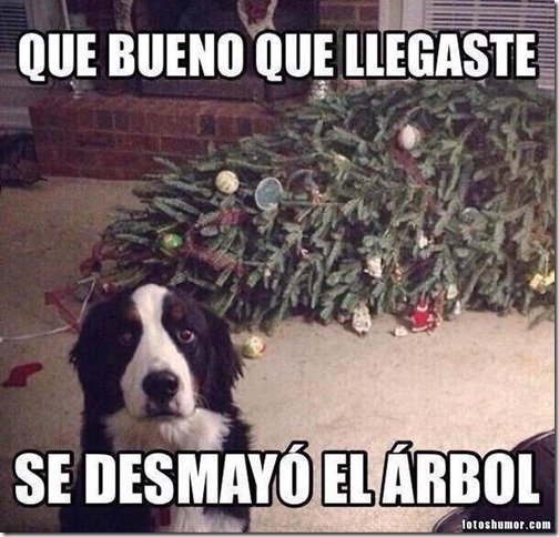 humor navidad 33