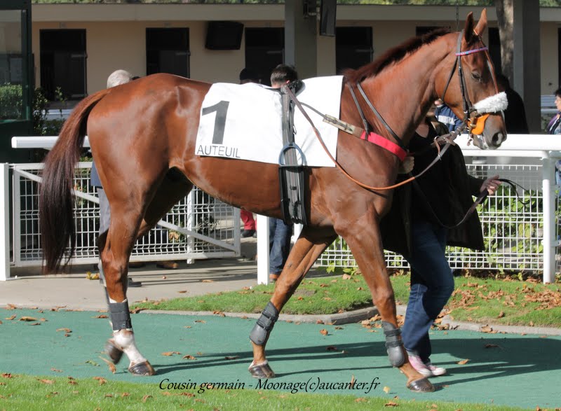 Photos Auteuil 26-09-2015 IMG_4129