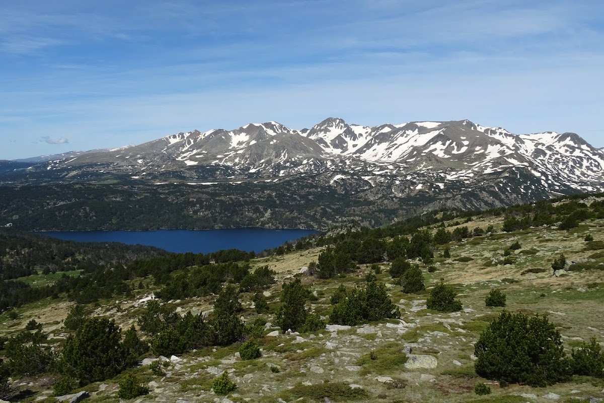 DSC02383.JPG