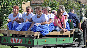 Jákó Szüreti Felvonulás 2015