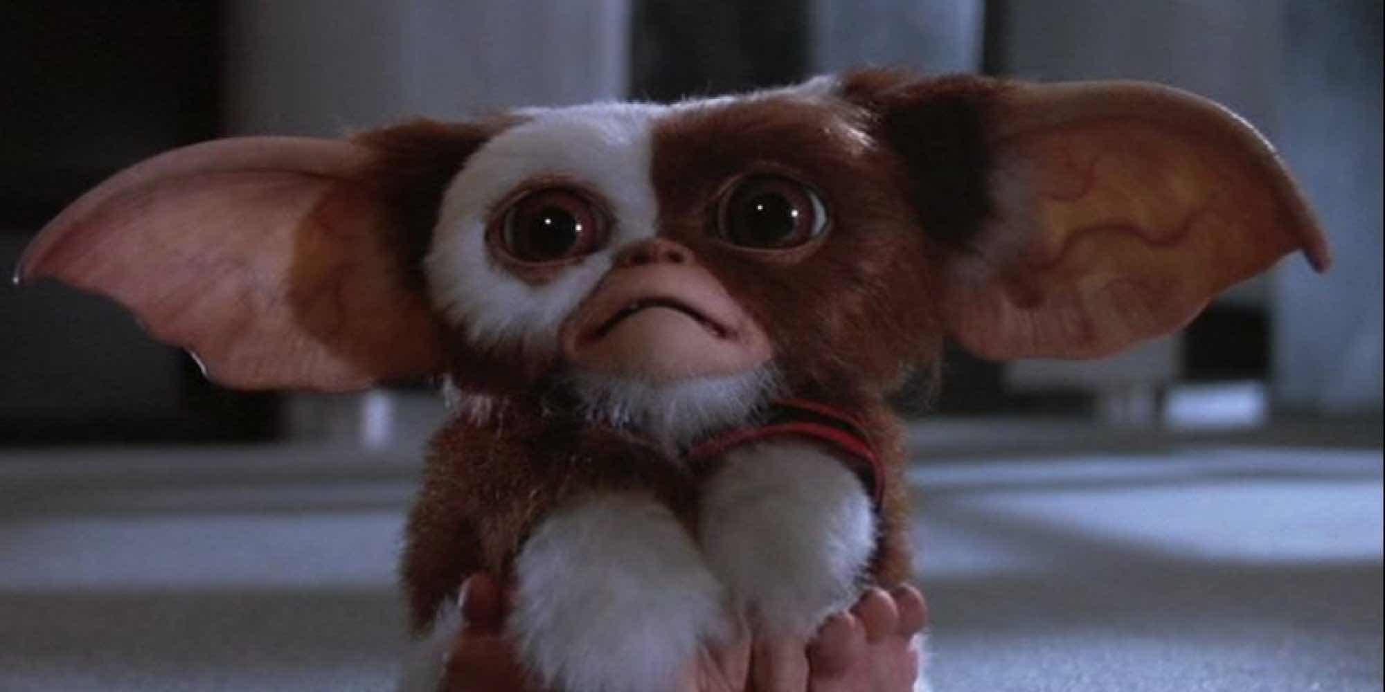 gremlins-part-two-hooray-for-hollywood-louisbmayer
