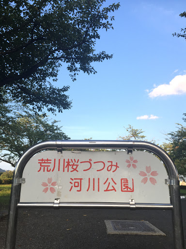 荒川桜づつみ   河川公園