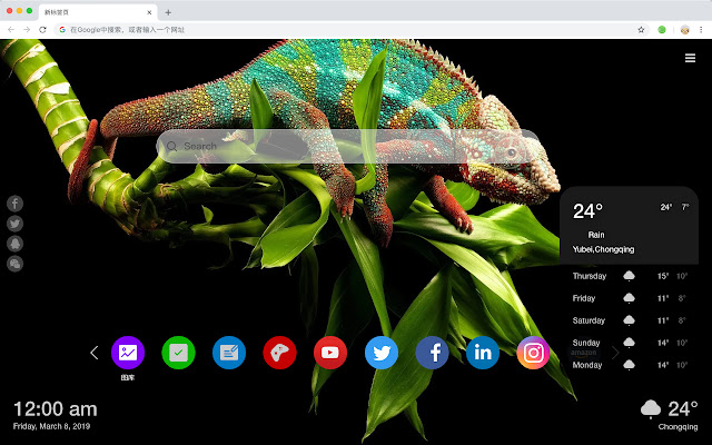 Lizard New Tab Page HD Animals Top Themes