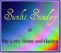 Sunlit Sunday